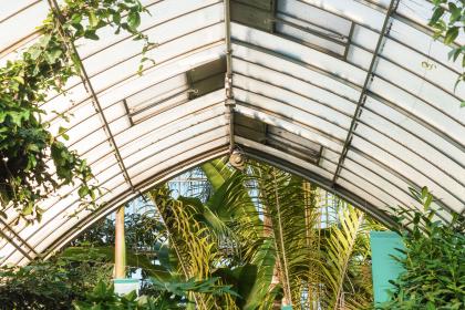 爱人影院新地址：探索浪漫之地，享受电影的温馨时光