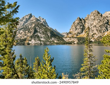 热门日漫画：探索当下最受欢迎的日本漫画作品与趋势