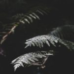 热爱小姐姐:探索江苏的青春魅力与风采 rv5e5y