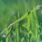 炼武巅峰:免费漫画在线观看,畅享热血武侠世界 vriih1