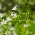 皆月光出生:在星空下追寻梦想与希望的旅程 0xq1elgvll