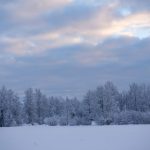 白鹿明星人脸替换技术:创意脸型视频大揭秘 22do523q