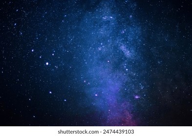 番茄动漫app：畅享海量动漫资源，尽在掌中体验精彩世界