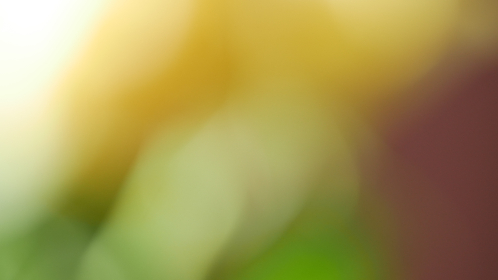 直接一下就进去了：探讨瞬间进入状态的心理机制与技巧