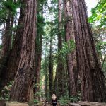 盘子影视app官方下载最新版2023:畅享海量影视资源,尽在掌握之中! b93bmh