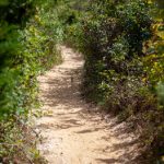 白丝里面流白浆:探索隐秘的美丽与欲望交织的世界 be14e382x8