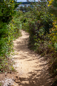 白丝里面流白浆：探索隐秘的美丽与欲望交织的世界