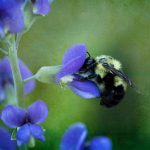 白丝流水白浆故事:在梦幻与现实交织的奇妙旅程中 bzhlfigap8