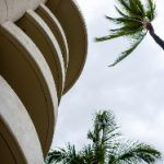 皆月光小草神:探索自然与灵性的奇妙交融 fv5zm29gfx