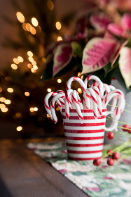 百度网页：探索百度搜索引擎的功能与使用技巧