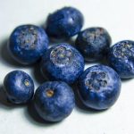 白票者聯盟游戏:探索虚拟世界中的策略与合作新体验 qmqb8y