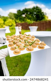 白嫖者联盟官方网站app：畅享免费资源的终极平台与使用指南